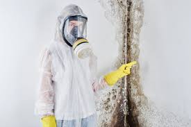 Why You Should Choose Our Mold Remediation Services in Highland, NY